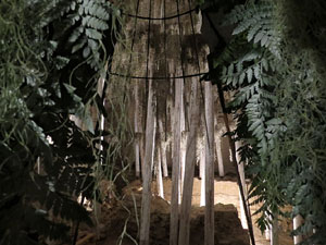 Temps de Flors 2016. Making of de l'esdeveniment