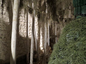 Temps de Flors 2016. Making of de l'esdeveniment