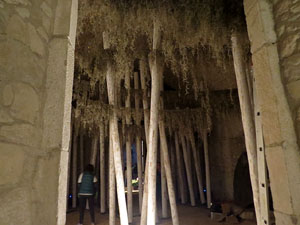 Temps de Flors 2016. Making of de l'esdeveniment