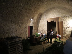 Temps de Flors 2016. Making of de l'esdeveniment