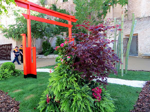 Temps de Flors 2016. Mirador del carrer de les Dones