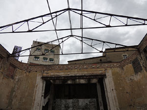 Temps de Flors 2016. Antic Cinema Modern