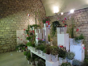 Temps de Flors 2016. Capella de Sant Nicolau