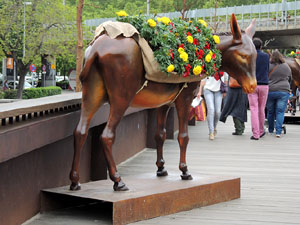 Temps de Flors 2016. Els ponts de l'Onyar
