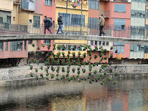 Temps de Flors 2016. Els ponts de l'Onyar