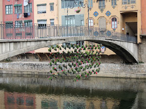 Temps de Flors 2016. Els ponts de l'Onyar