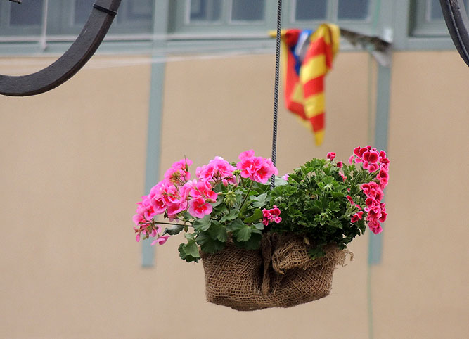 Temps de Flors 2016. Els ponts de l'Onyar