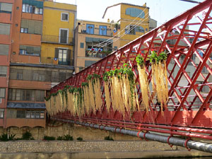 Temps de Flors 2016. Els ponts de l'Onyar
