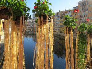 Temps de Flors 2016. Els ponts de l'Onyar