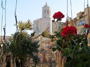 Temps de Flors 2016. Els ponts de l'Onyar