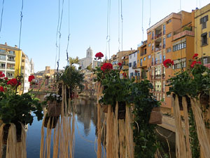 Temps de Flors 2016. Els ponts de l'Onyar