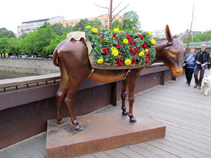 Temps de Flors 2016. Els ponts de l'Onyar