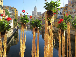 Temps de Flors 2016. Els ponts de l'Onyar