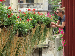 Temps de Flors 2016. Els ponts de l'Onyar