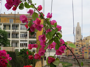 Temps de Flors 2016. Els ponts de l'Onyar