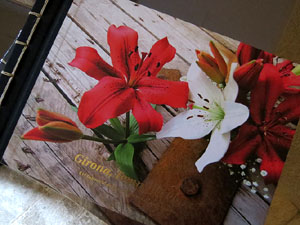 Temps de Flors 2016. Presentaci&oacute; del llibre de Lara Pujol