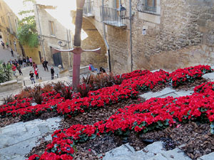 Temps de Flors 2016. Escales de la pujada de Sant Mart&iacute;
