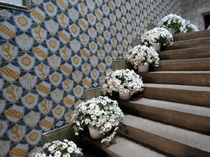 Temps de Flors 2016. Casa Audouard (Salieti)