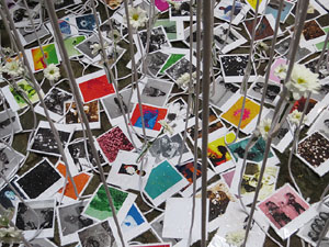 Temps de Flors 2016. Casa Sambola - Pla Dalmau, al carrer de la Força