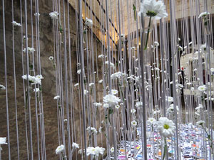 Temps de Flors 2016. Casa Sambola - Pla Dalmau, al carrer de la Força