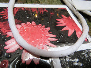 Temps de Flors 2016. Casa Sambola - Pla Dalmau, al carrer de la Força