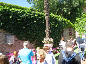 Temps de Flors 2016. Muntatges i instal&middot;lacions a la Capella de Sant Crist&ograve;fol