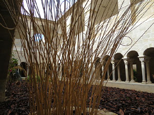 Temps de Flors 2016. Monestir de Sant Daniel