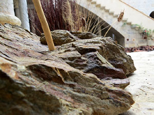 Temps de Flors 2016. Monestir de Sant Daniel