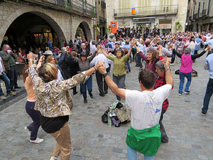 Temps de Flors 2016. Sardanes a la pla&ccedil;a del Vi amb la cobla Flama de Farners
