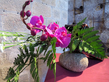 Temps de Flors 2016. Les Sarra&iuml;nes