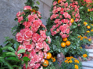 Temps de Flors 2016. Muntatges i instal&middot;lacions a l'esgl&eacute;sia de Sant Mart&iacute; - Seminari