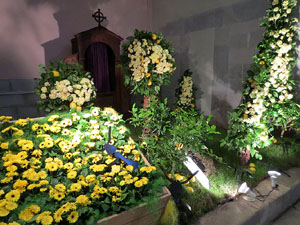 Temps de Flors 2016. Muntatges i instal&middot;lacions a l'esgl&eacute;sia de Sant Mart&iacute; - Seminari