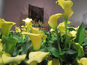 Temps de Flors 2016. Muntatges i instal&middot;lacions a l'esgl&eacute;sia de Sant Mart&iacute; - Seminari