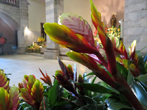 Temps de Flors 2016. Muntatges i instal&middot;lacions a l'esgl&eacute;sia de Sant Mart&iacute; - Seminari