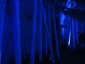 Temps de Flors 2016. Instal&middot;laci&oacute; M&oacute;n on&iacute;ric als soterranis de la Catedral