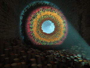 Temps de Flors 2016. Instal&middot;laci&oacute; M&oacute;n on&iacute;ric als soterranis de la Catedral