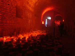 Temps de Flors 2016. Instal&middot;laci&oacute; M&oacute;n on&iacute;ric als soterranis de la Catedral