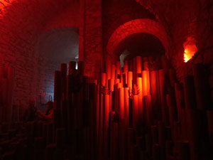 Temps de Flors 2016. Instal&middot;laci&oacute; M&oacute;n on&iacute;ric als soterranis de la Catedral