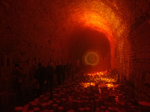 Temps de Flors 2016. Instal&middot;laci&oacute; M&oacute;n on&iacute;ric als soterranis de la Catedral