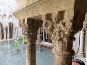 Temps de Flors 2016. Claustre de Sant Pere de Galligants