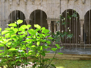 Temps de Flors 2016. Claustre de Sant Pere de Galligants