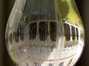 Temps de Flors 2016. Claustre de Sant Pere de Galligants