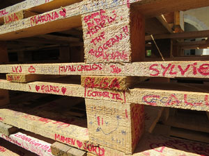 Temps de Flors 2016. Sant Dom&egrave;nec i Universitat de Girona