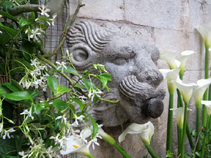 Temps de Flors 2016. Diversos espais al voltant de la Catedral: pati del Museu d'Art, la Font de la Pera, els Jardins de la Francesa, el carrer de Ferran el cat&ograve;lic