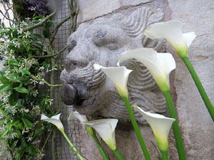 Temps de Flors 2016. Diversos espais al voltant de la Catedral: pati del Museu d'Art, la Font de la Pera, els Jardins de la Francesa, el carrer de Ferran el cat&ograve;lic