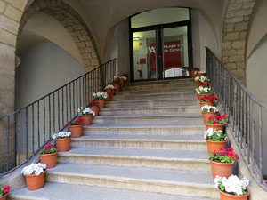 Temps de Flors 2016. Diversos espais al voltant de la Catedral: pati del Museu d'Art, la Font de la Pera, els Jardins de la Francesa, el carrer de Ferran el cat&ograve;lic