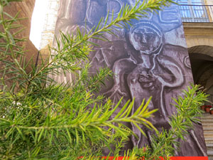 Temps de Flors 2016. Diversos espais al voltant de la Catedral: pati del Museu d'Art, la Font de la Pera, els Jardins de la Francesa, el carrer de Ferran el cat&ograve;lic