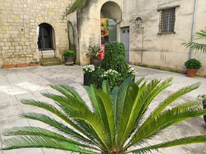 Temps de Flors 2016. Diversos espais al voltant de la Catedral: pati del Museu d'Art, la Font de la Pera, els Jardins de la Francesa, el carrer de Ferran el cat&ograve;lic