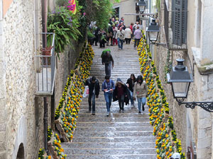 Temps de Flors 2016. Diversos espais al voltant de la Catedral: pati del Museu d'Art, la Font de la Pera, els Jardins de la Francesa, el carrer de Ferran el cat&ograve;lic