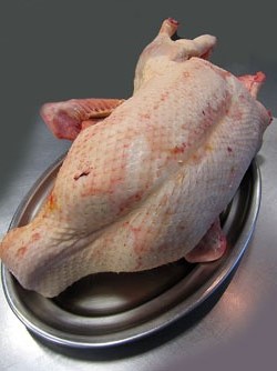 L'&agrave;nec &eacute;s el protagonista de diversos plats